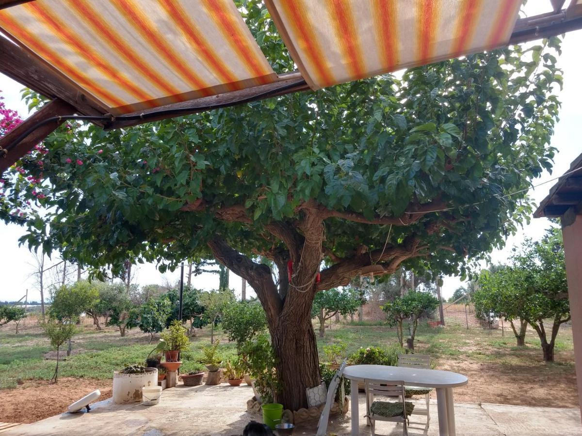 Il Gazebo Bed & Breakfast Scoglitti Bagian luar foto