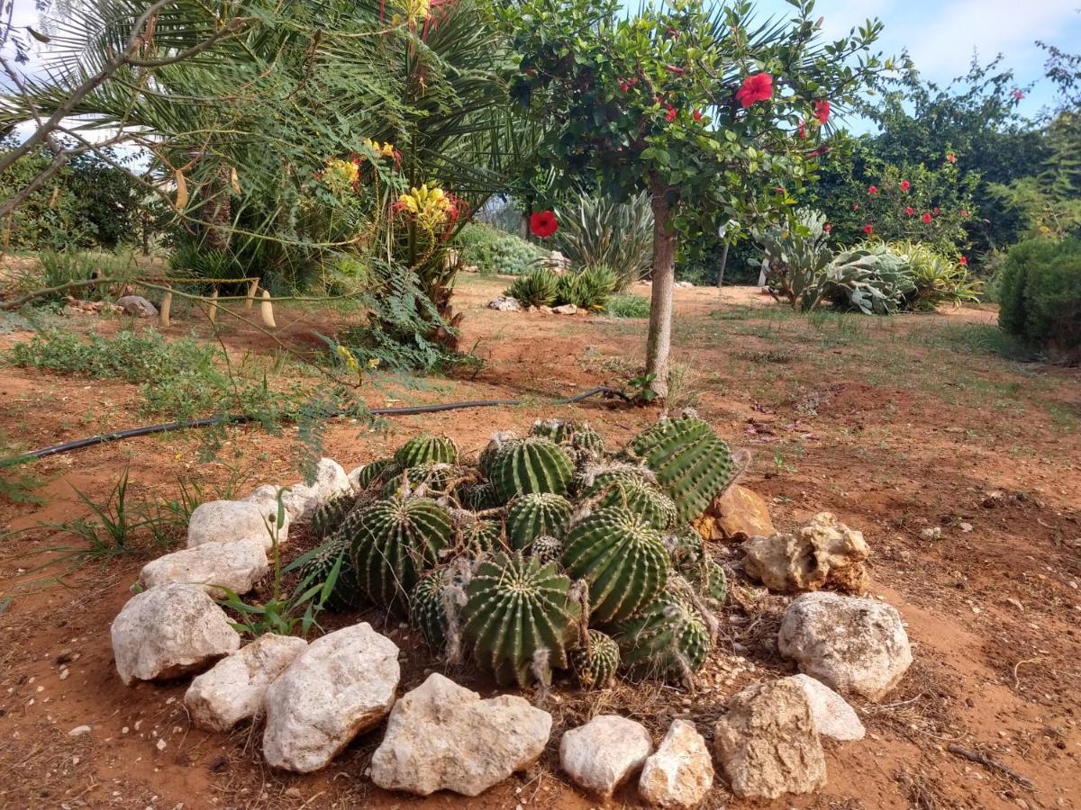 Il Gazebo Bed & Breakfast Scoglitti Bagian luar foto