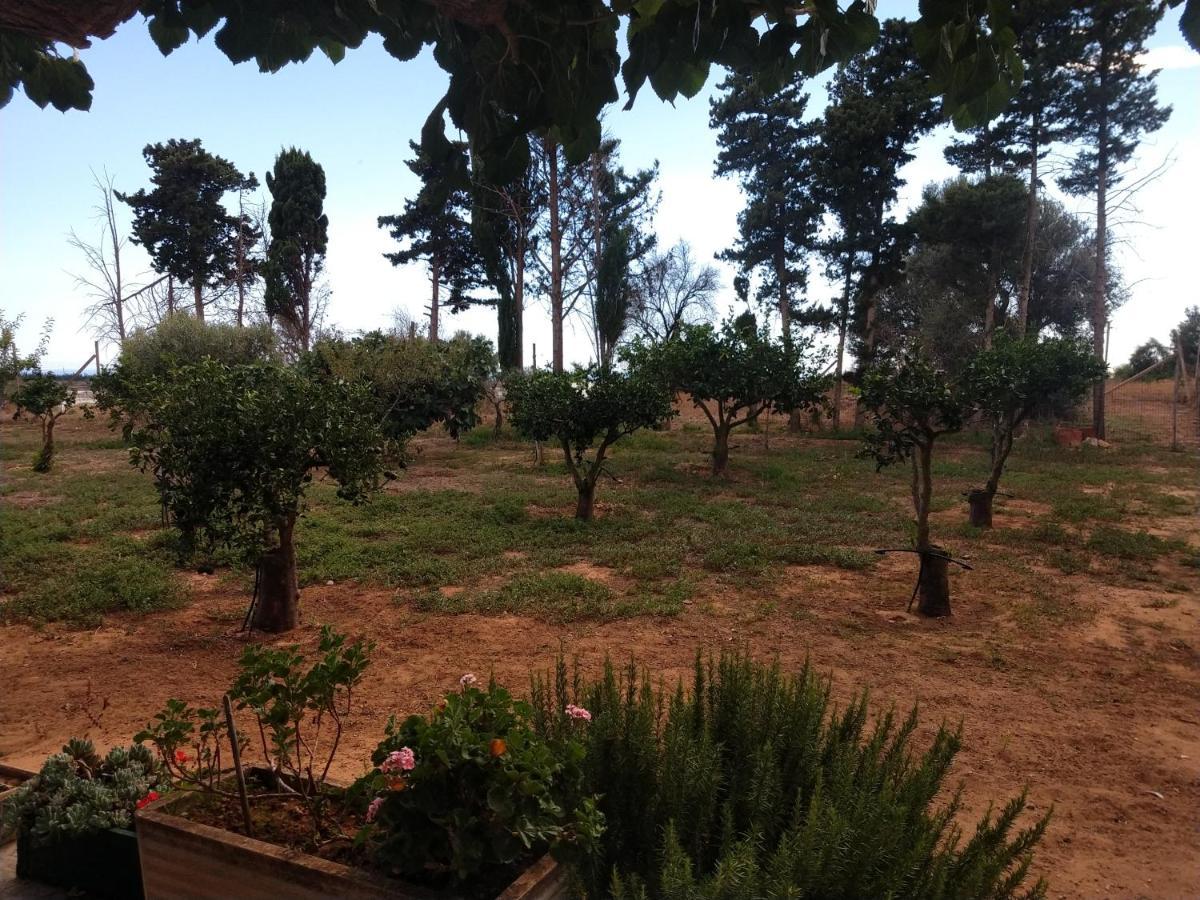 Il Gazebo Bed & Breakfast Scoglitti Bagian luar foto